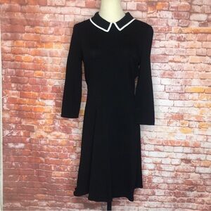 Lauren Ralph Lauren Black and White A-line Peter Pan Dress
